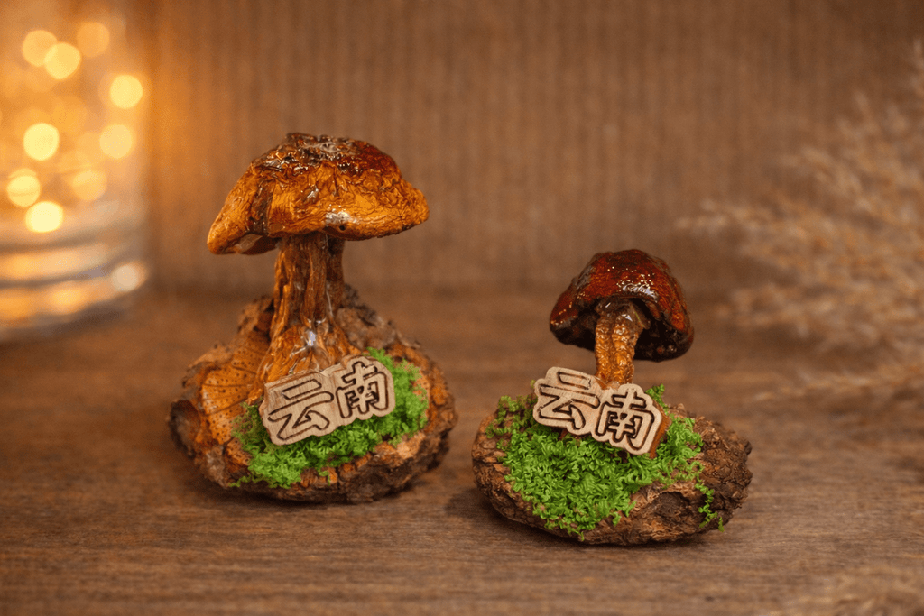 Handcrafted Real-Mushroom Fridge Magnets