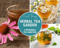 Herbal Tea Seed Collection – 6 Varieties