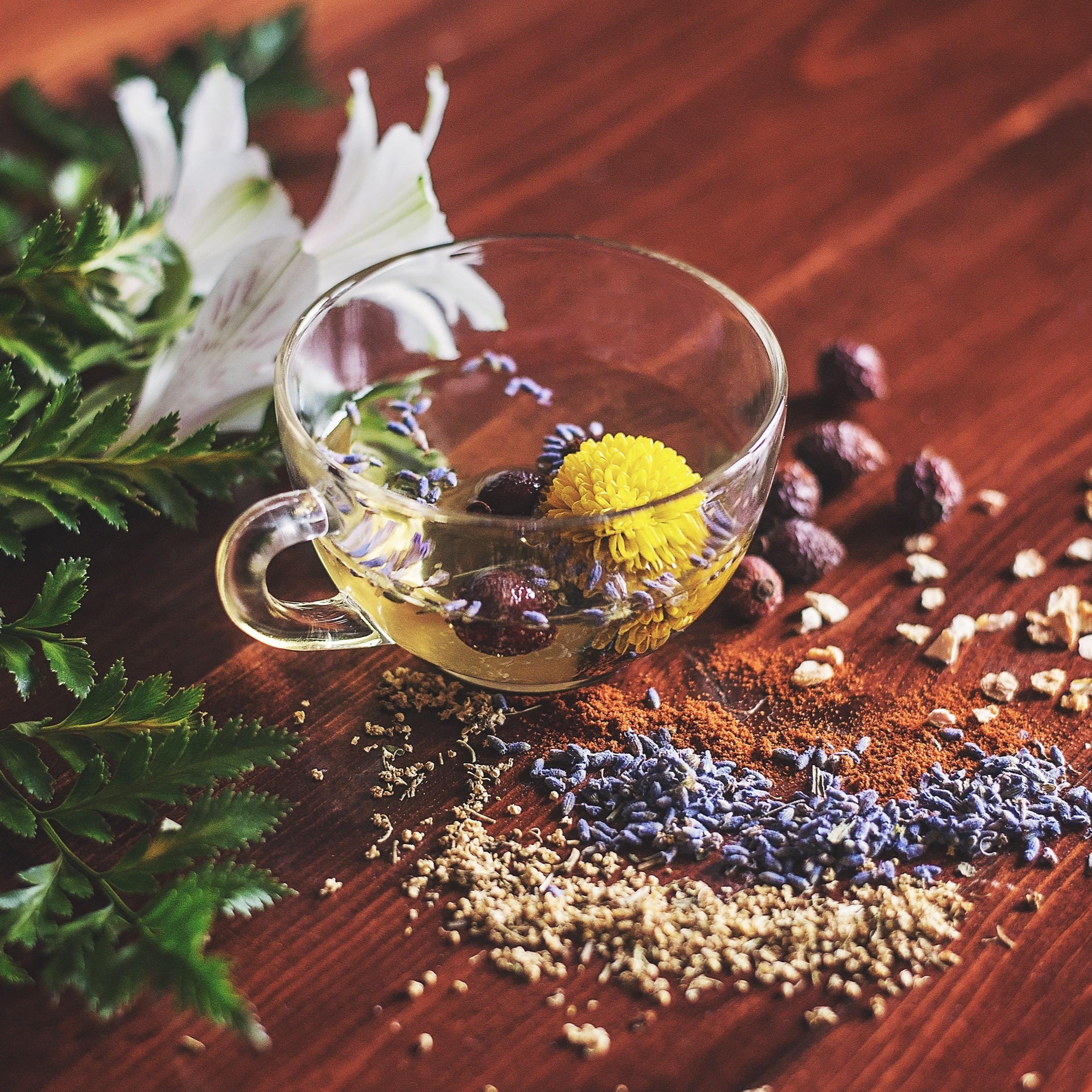 Grow Your Own Herbal Tea Kit