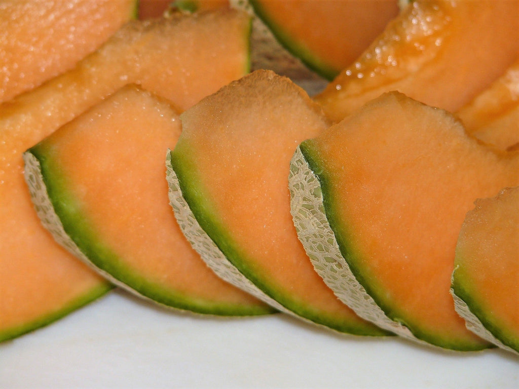 100 Minnesota MIDGET CANTALOUPE MELON Cucumis Melo Reticulatus Fruit Seeds