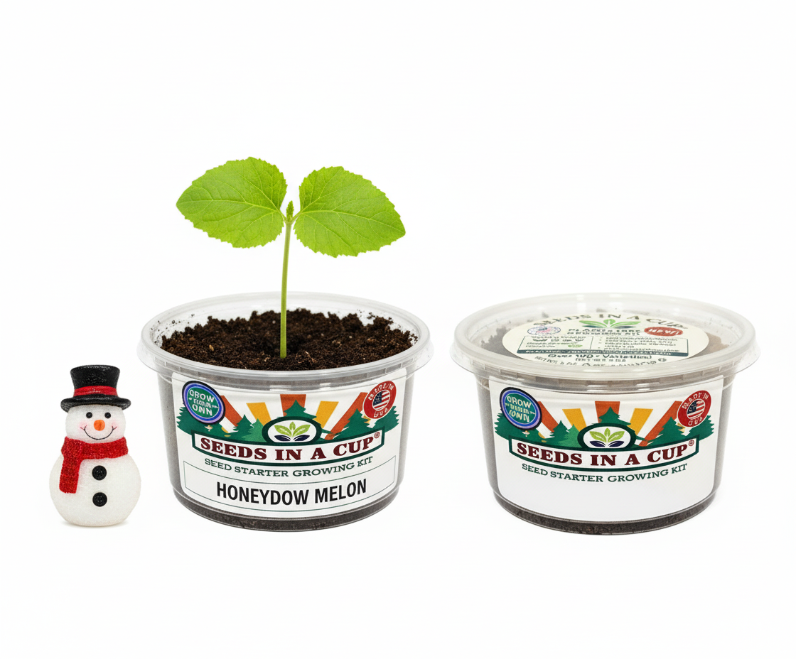 Honeydew Melon Grow Kit | Grow Honeydew Melon from Seed | Seeds In A Cup®