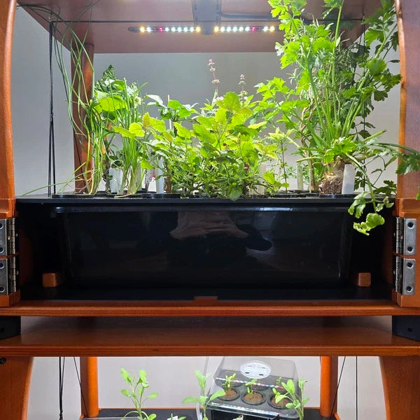 13L Water Tank