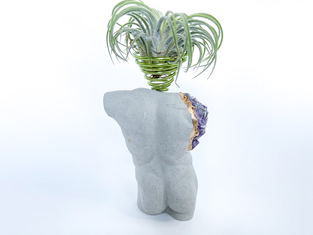 MALE BODY AIR PLANT HOLDER