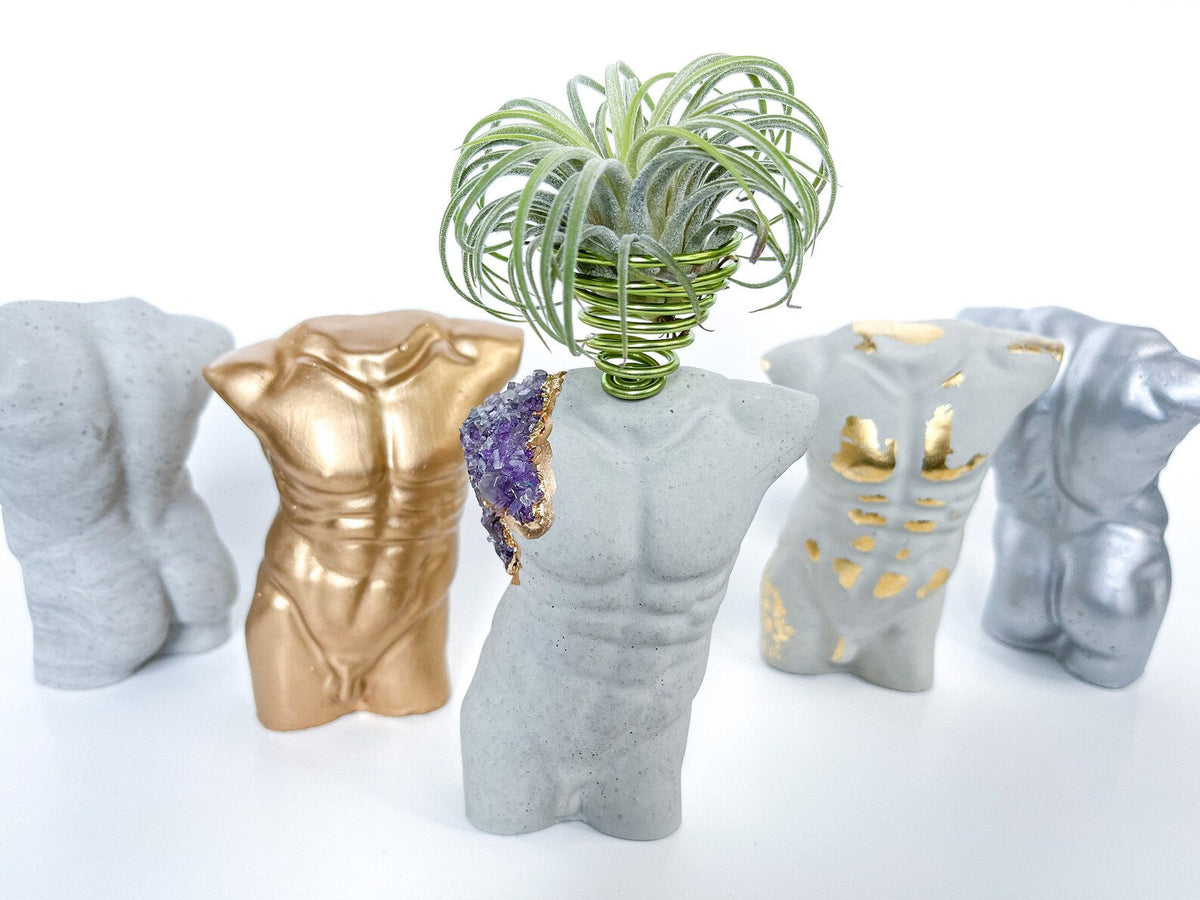 MALE BODY AIR PLANT HOLDER