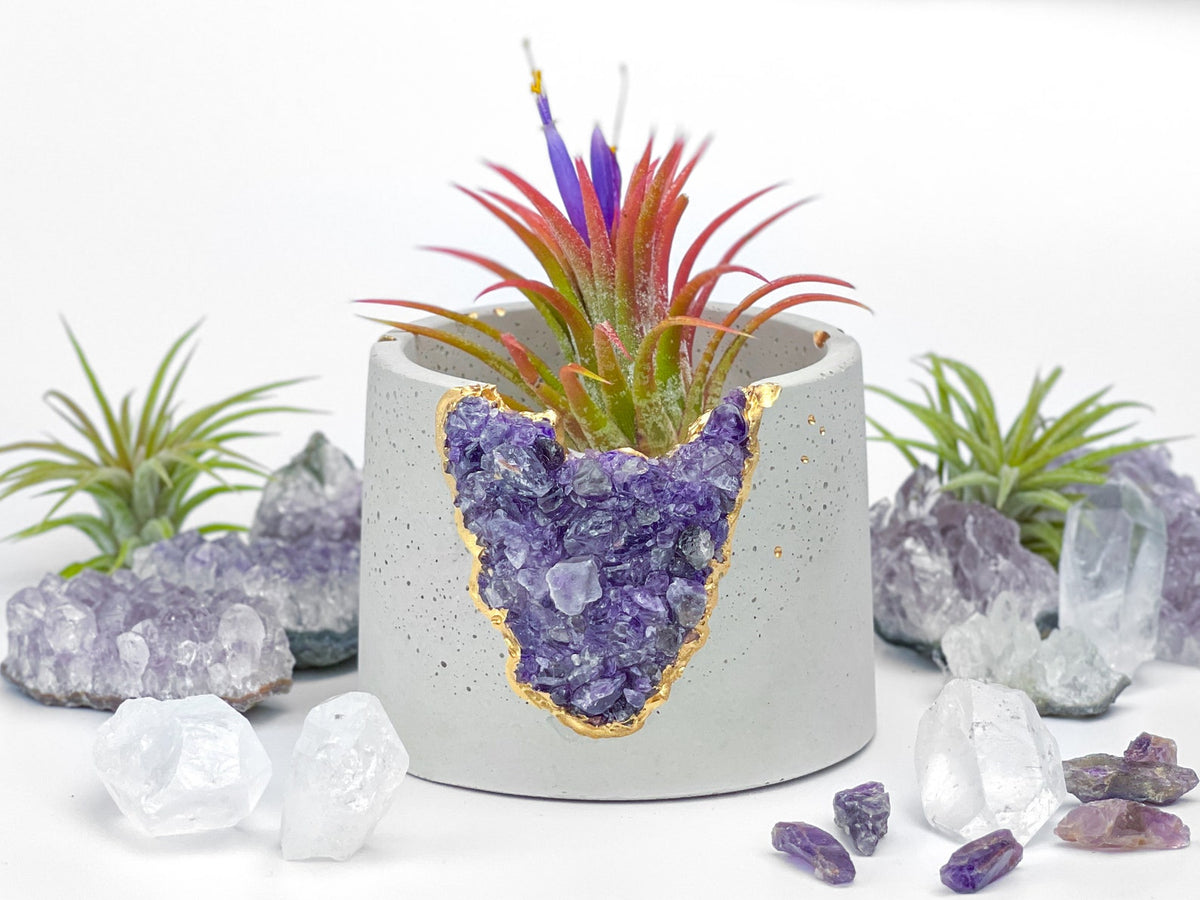 3" Geode Planter