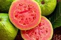Ruby Supreme Guava Plant in 10" Pot, Pink Guava Tree, Psidium guajava, Tropical Fruit Tree for Garden or Container