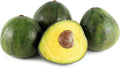 Nabal Avocado Tree Grafted 3-Gallon Pot Persea americana, Compact, Drought-Tolerant, Homegrown Fruit Plant