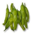 Sweet Shishito Pepper Plant - Live 3" Pot - Capsicum annuum - Compact Edible Garden or Container Plant