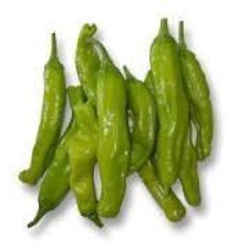 Sweet Shishito Pepper Plant - Live 3" Pot - Capsicum annuum - Compact Edible Garden or Container Plant