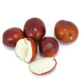Jujube Tree 1-2 Feet Grafted Li Variety in 6" Pot - Large Fruit, Great Flavor, Z5-10 - Ziziphus jujuba