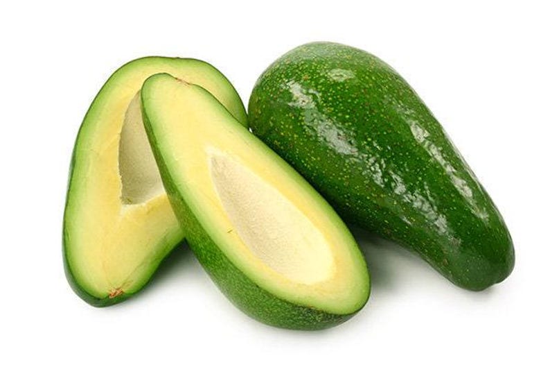 Fuerte Avocado Tree - 1 ft Grafted Plant - Ships in 6" Pot - Persea americana