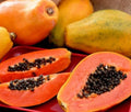 Dwarf Strawberry Papaya Plant in 4" Pot | Carica papaya | Sweet Fruit, Container-Friendly, Fast-Growing