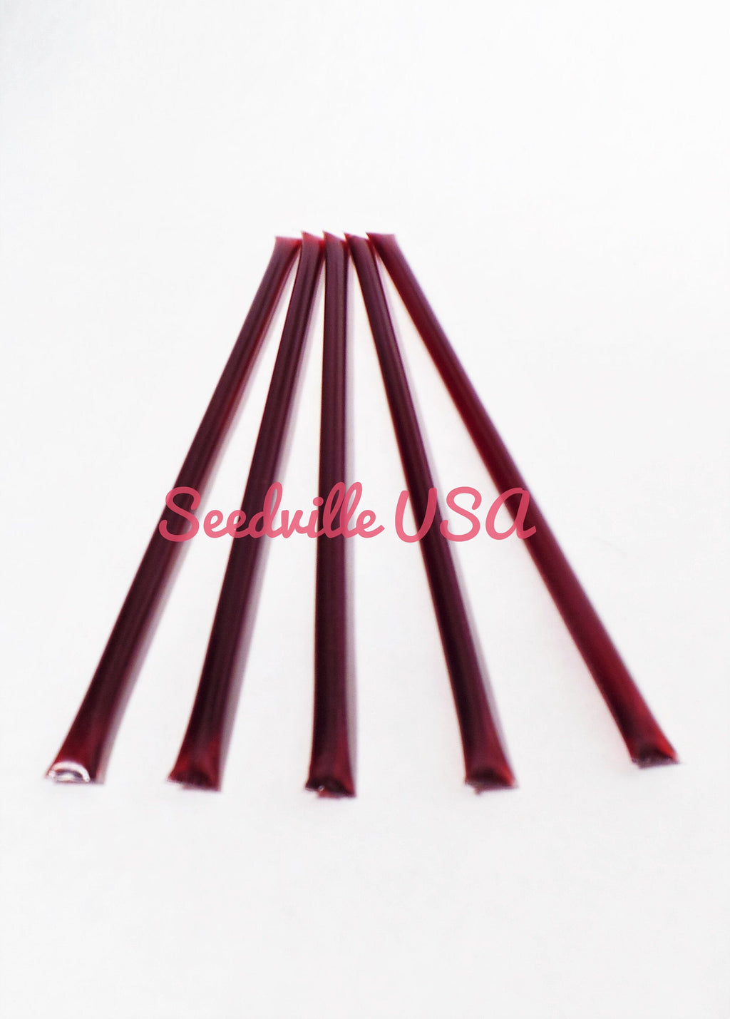 5 Pack BLACKBERRY HONEY TEASERS Natural Honey Snack Sticks Honeystix Straws