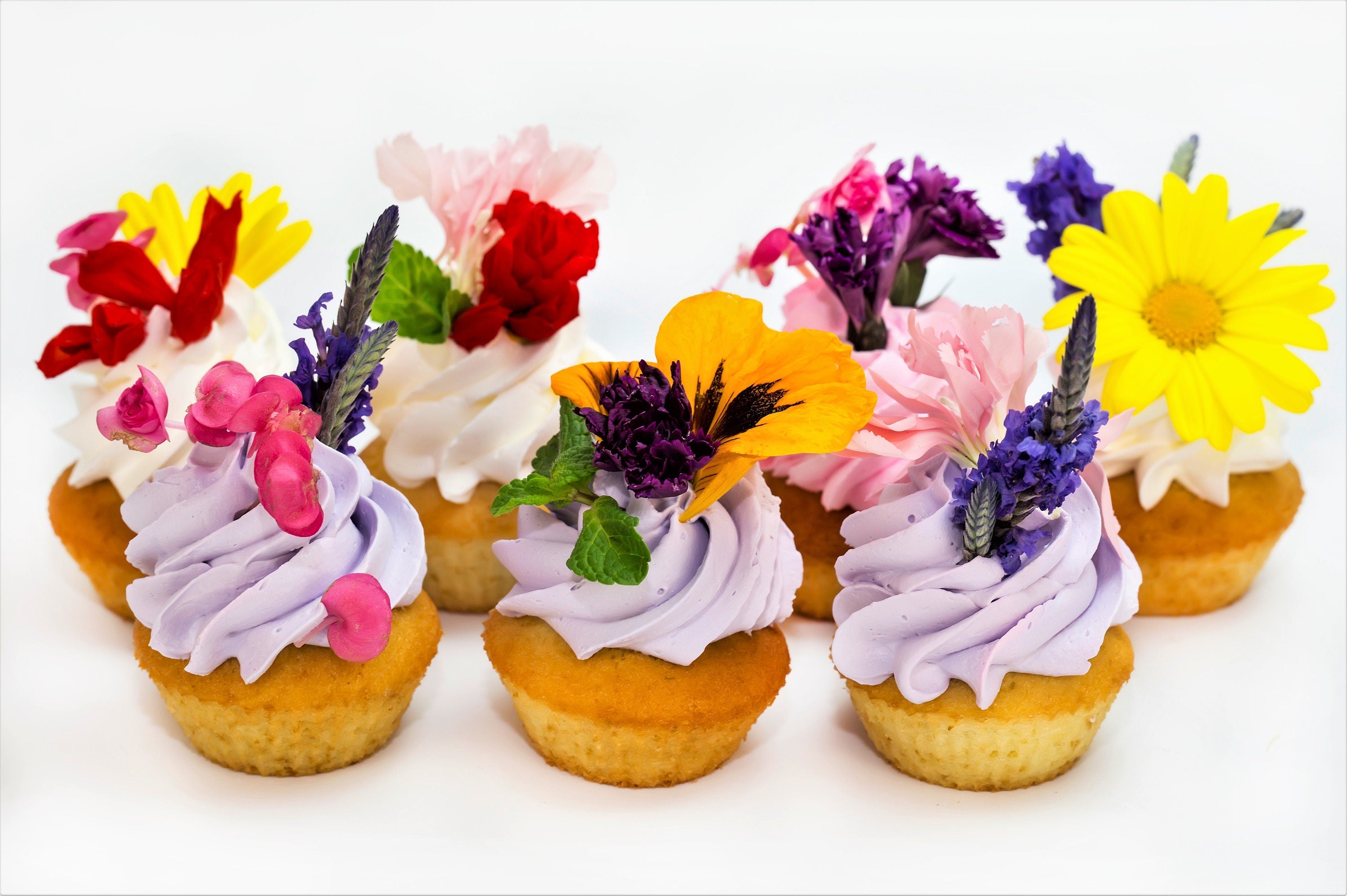 EDIBLE FLOWER MIX Seeds - 16 Types: Marigold Daisy Viola Safflower Alyssum Hyssop Hollyhock Cornflower Sweet William Nasturtium Basil + More
