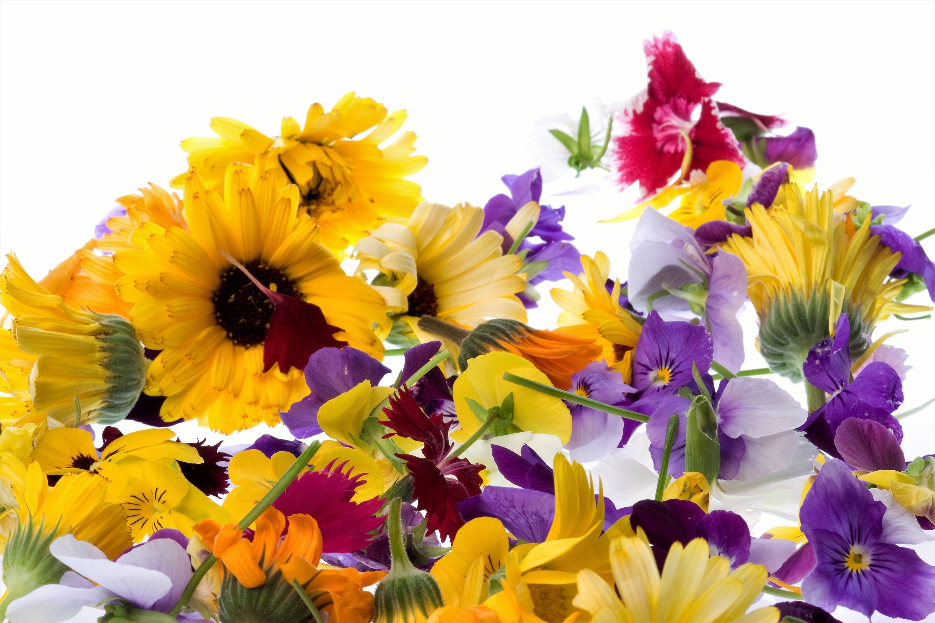 EDIBLE FLOWER MIX Seeds - 16 Types: Marigold Daisy Viola Safflower Alyssum Hyssop Hollyhock Cornflower Sweet William Nasturtium Basil + More