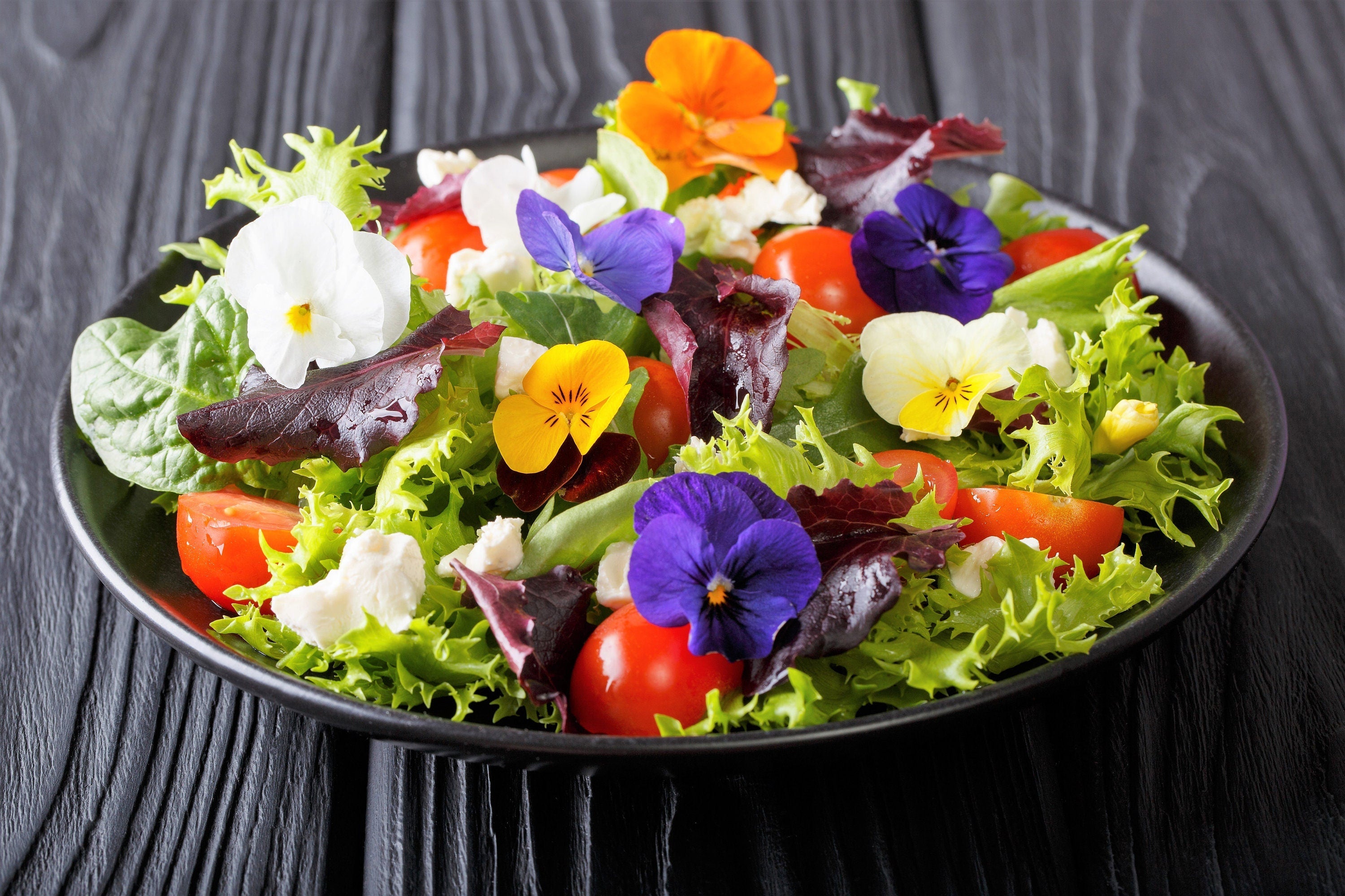 EDIBLE FLOWER MIX Seeds - 16 Types: Marigold Daisy Viola Safflower Alyssum Hyssop Hollyhock Cornflower Sweet William Nasturtium Basil + More