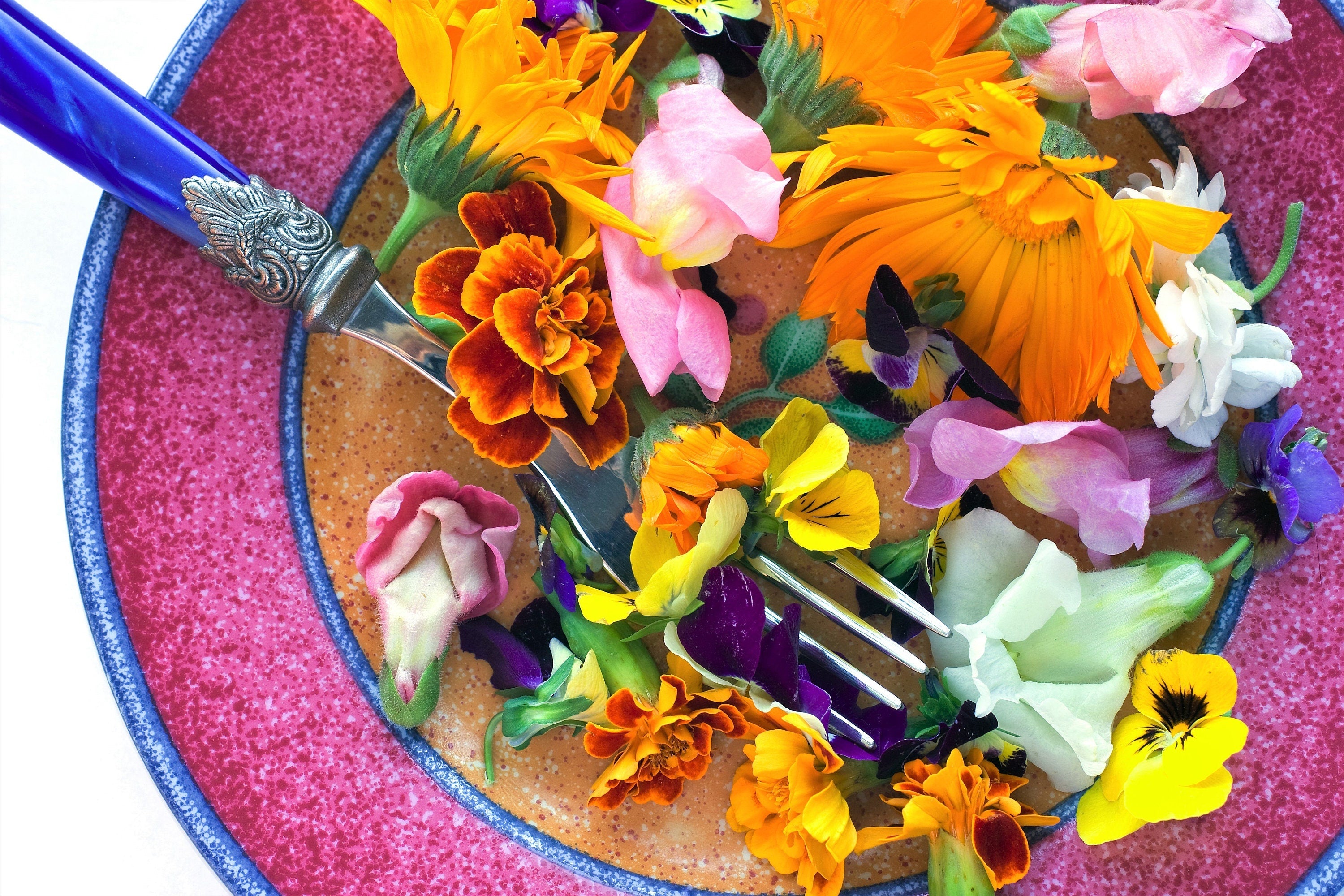EDIBLE FLOWER MIX Seeds - 16 Types: Marigold Daisy Viola Safflower Alyssum Hyssop Hollyhock Cornflower Sweet William Nasturtium Basil + More