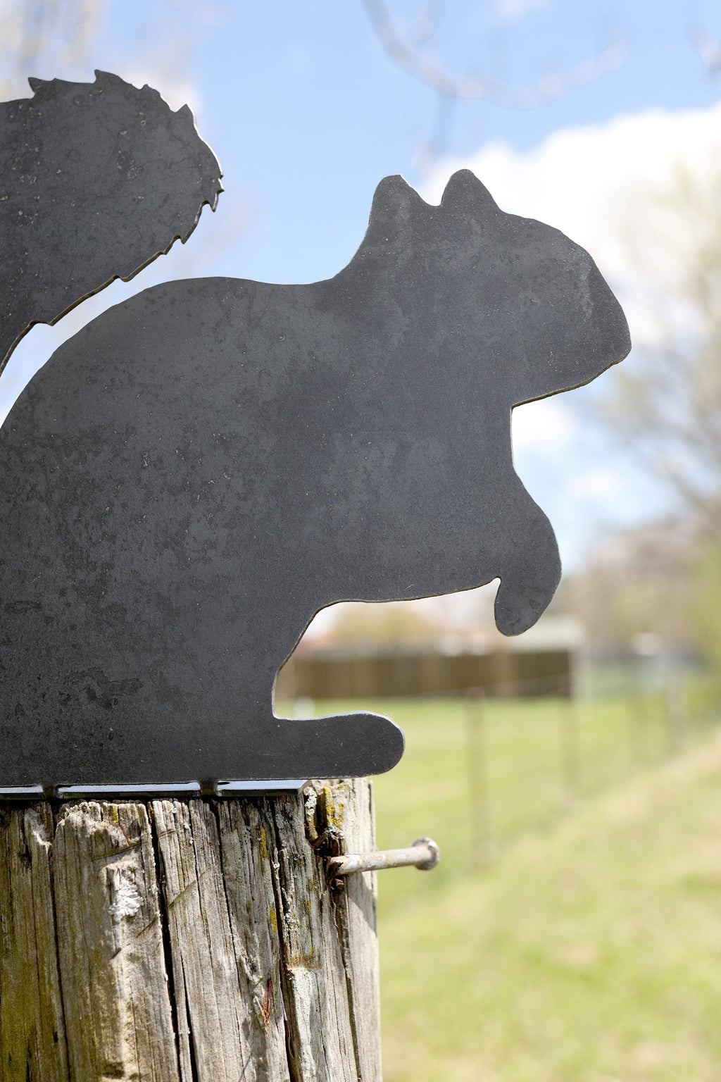 Metal Squirrel Statue