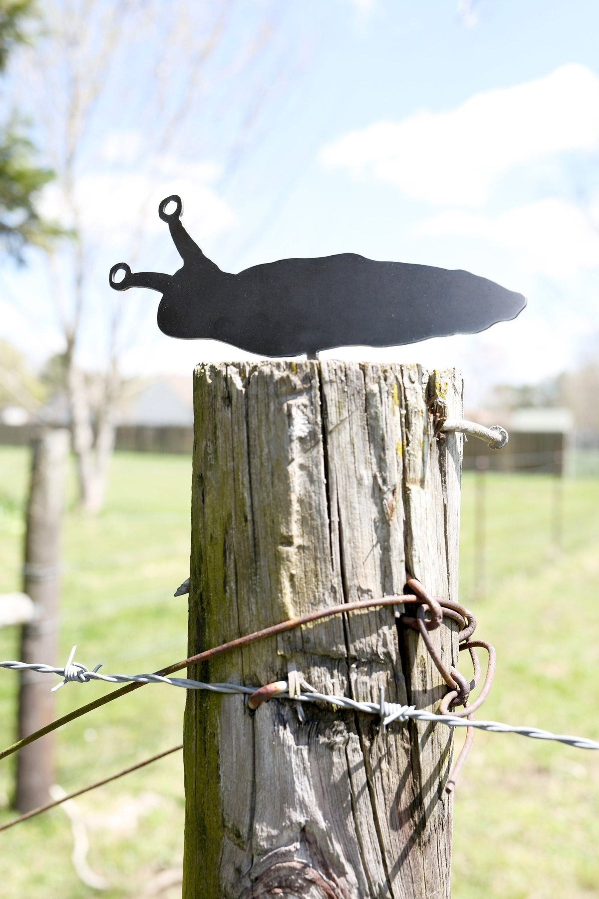 Slug Statue