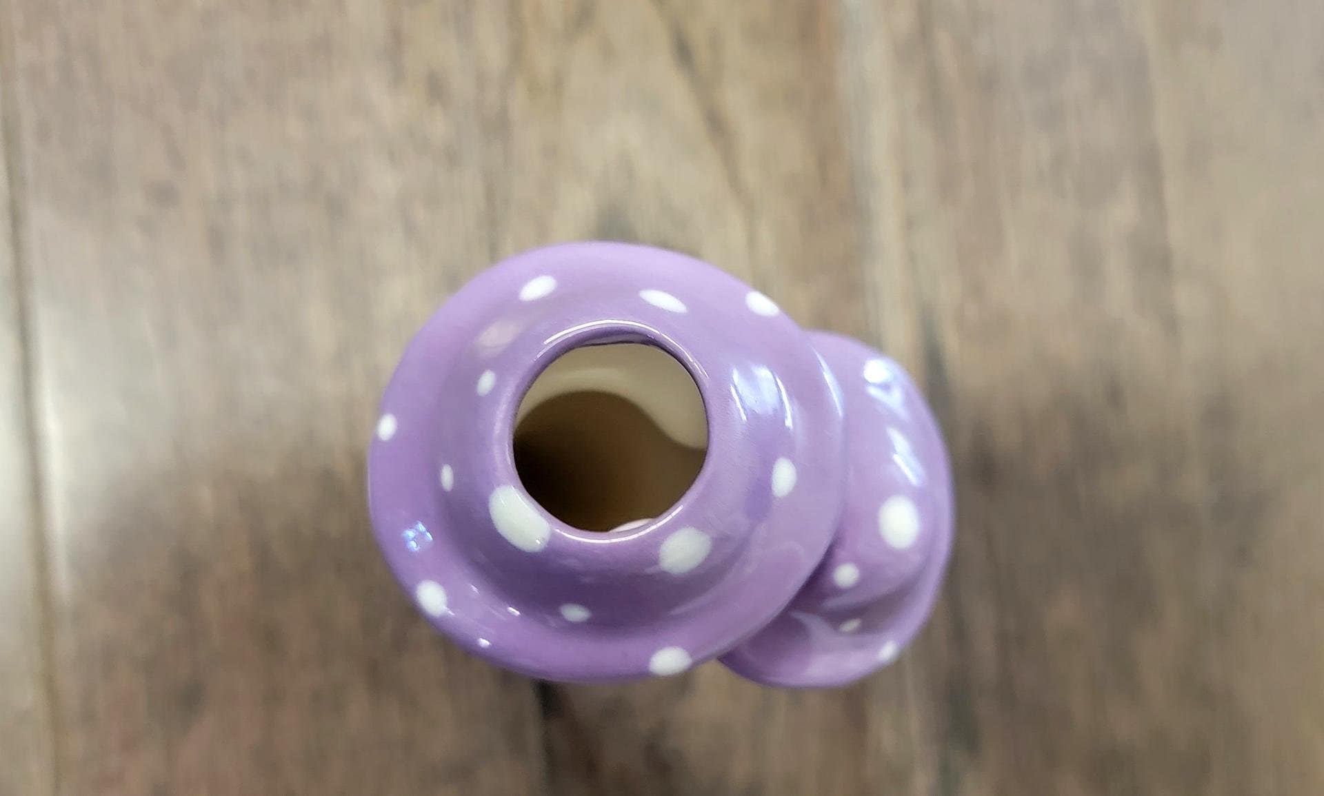 Small Mushroom Watering Spike