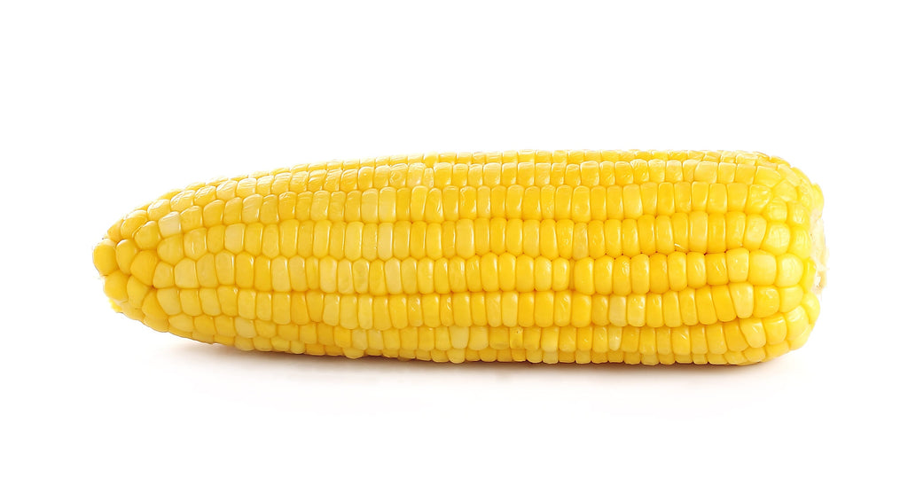 50 KANDY KORN CORN Sweet Yellow Corn Red Husk H.S.E. Zea Mays Vegetable Seeds