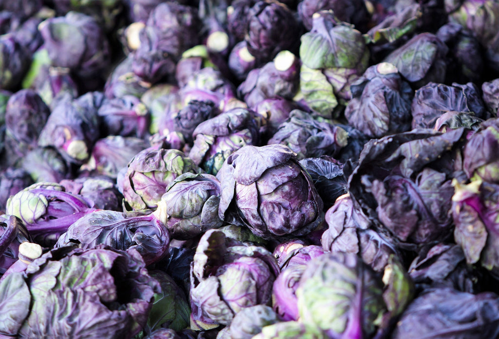 70 RED Ball BRUSSEL SPROUT Brussels Sprouts Brassica Oleracea Gemmifera Vegetable Seeds