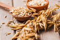 250 Certified ARMOR OAT Oats Avena Sativa Cereal Grain Seeds