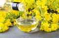 1000 ' WICHITA ' Winter CANOLA Brassica Napus Rape Oilseed Cover Crop Seeds
