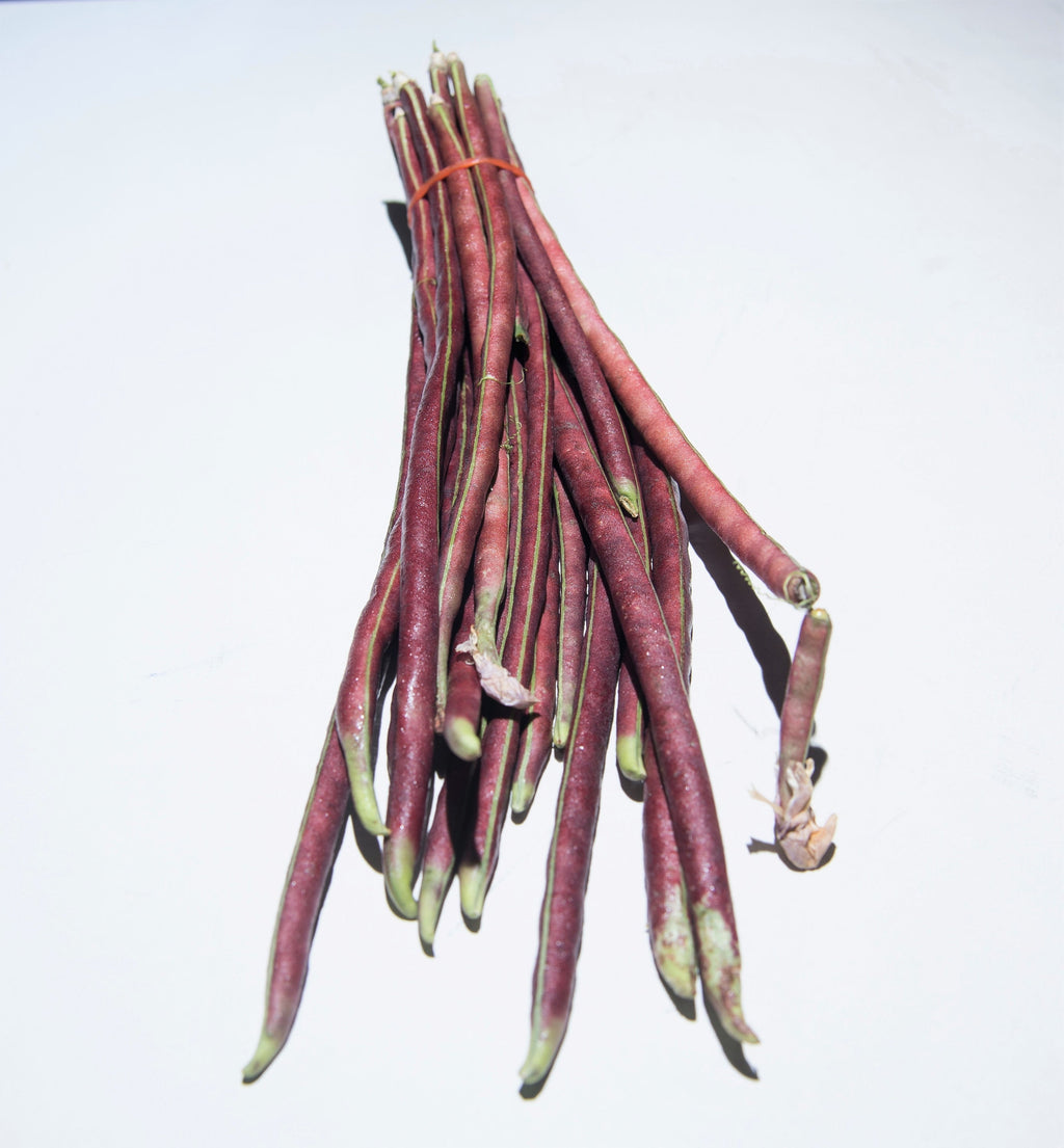 100 RED RIPPER COWPEA Cow Pea Southern Pea Vigna Unguiculata Legume Bean Vegetable Seeds