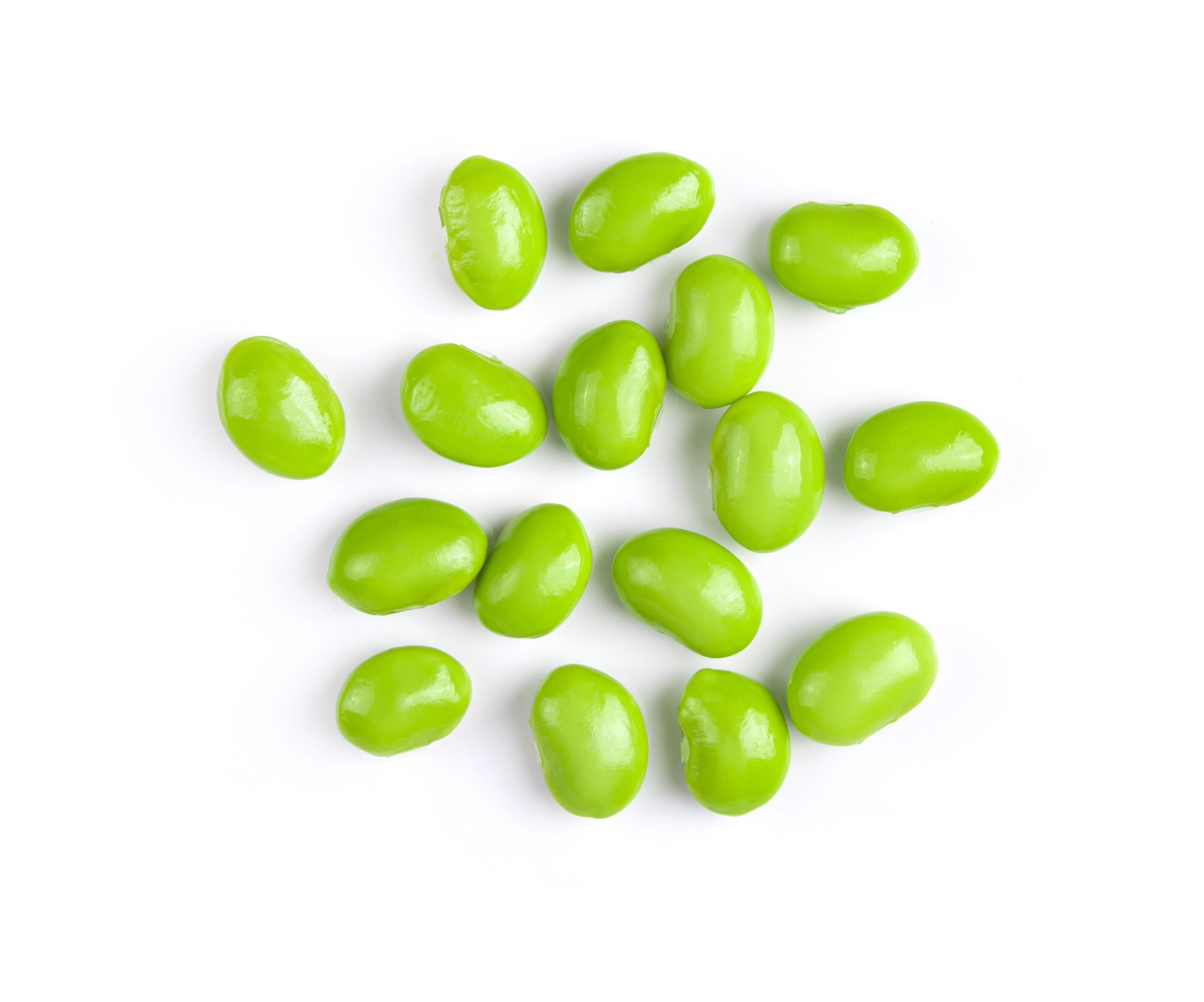 20 Organic MIDORI GIANT SOYBEAN Edamame Glycine Max Green Bean Legume Vegetable Seeds