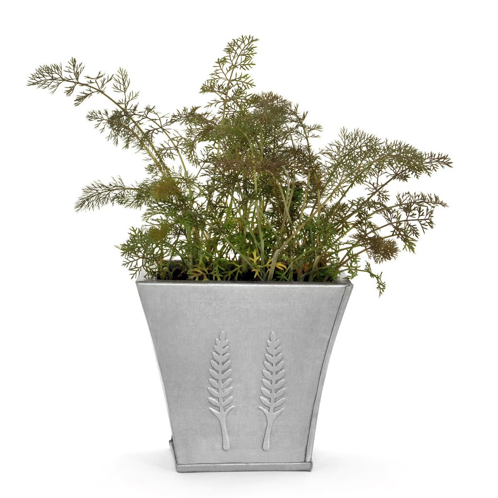 100 Organic BRONZE FENNEL Foeniculum Vulgare Purpureum Herb Bronze Foliage Yellow Flower Seeds