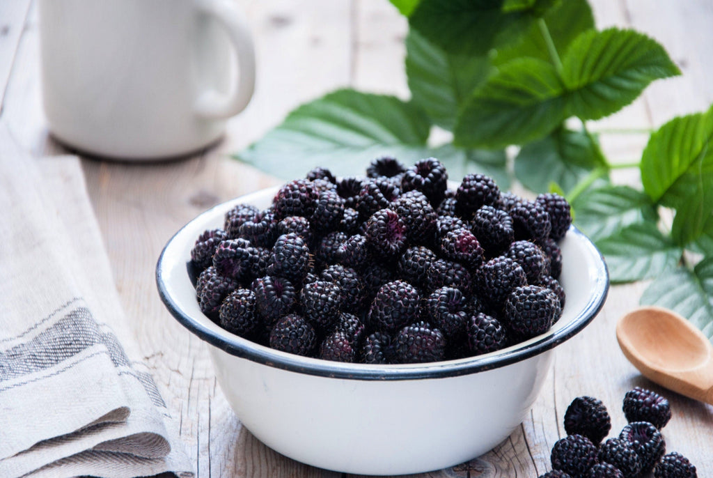 50 WHITEBARK Black RASPBERRY Western Blackcap Raspberry Rubus Leucodermis Native Fruit Berry Seeds