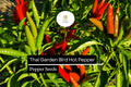 Thai Garden Bird Hot Pepper Seeds | Non-GMO, Very Hot Chili, Capsicum annuum, 250mg Packet