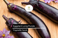 Eggplant Seeds 300mg Long Purple Heirloom Solanum melongena, High-Yield, Tender & Mild Flavor, 8-10 Inch Fruits