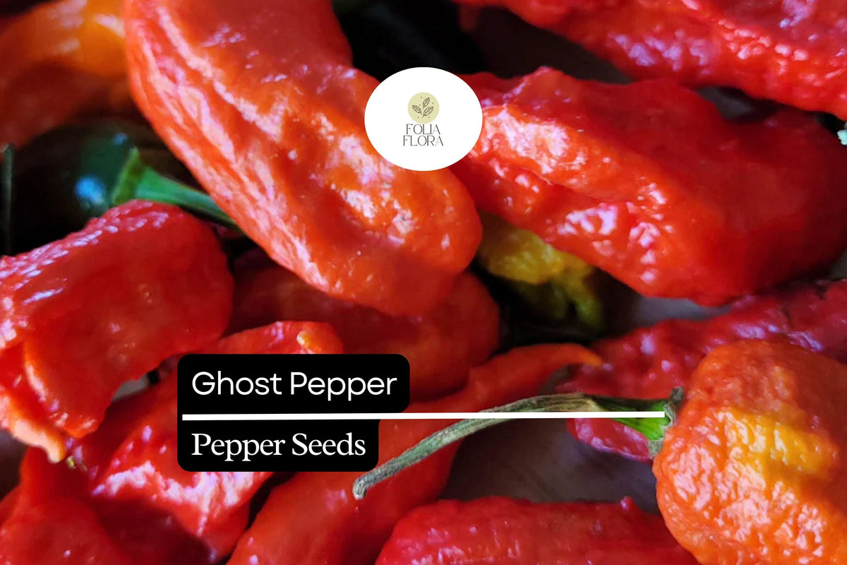 Ghost Pepper Seeds, Bhut Jolokia, Extreme Heat Chili Pepper for Spicy Gardens, Capsicum chinense