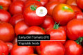 10 Seeds Early Girl Tomato F1 Hybrid – Fast-Maturing, Sweet, Juicy Red Tomato Seeds for Container Gardening and Small Spaces