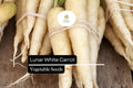 200 Lunar White Carrot Seeds – Heirloom Daucus Carota, Creamy White Roots, Sweet Flavor, Easy to Grow, Full Sun, 6-8 Inch Roots