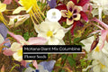 McKana Giant Columbine Seeds | Aquilegia caerulea | Mix of Red, Yellow, Pink, Blue, White Flowers | Perennial Garden Plant