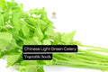 Chinese Light Green Celery Seeds – Heirloom Apium graveolens, Tender Crisp Stalks, Mild Flavor, Full Sun, 500 Seeds