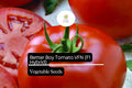 Better Boy Tomato Seeds, F1 Hybrid, High-Yield, Disease-Resistant Solanum Lycopersicum, Bright Red, Large Fruits