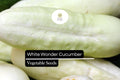 White Wonder Cucumber Seeds – Heirloom, Creamy White Skin, Crisp Texture, Sweet Flavor, Heat-Tolerant, 50 Seeds Cucumis sativus