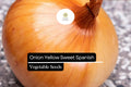 Yellow Spanish Sweet Onion Seeds – Heirloom Allium Cepa – Large Globe-Shaped, Mild Flavor, High-Yield, Long-Day Variety