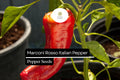 Marconi Rosso Italian Sweet Pepper Seeds – Heirloom, Non-GMO, High-Yielding, Thick-Walled Capsicum annuum