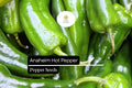 25 Anaheim Pepper Seeds – Mild, Flavorful, High-Yielding Capsicum annuum Chili Seeds