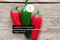 25 Jalapeño M Pepper Seeds – Heirloom, Non-GMO, Medium Heat Capsicum annuum for Salsas, Pickling, Cooking