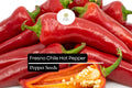 Fresno Pepper Seeds – Heirloom, Non-GMO, High Yield, Spicy Chili, Capsicum annuum, 25 Seeds