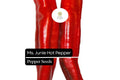 25 Ms. Junie Hatch Chili Pepper Seeds – Mild Spicy, Green to Red, Heirloom, Capsicum annuum