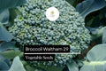 Waltham 29 Broccoli Seeds – Heirloom, Cold-Hardy, High-Yield, Sweet & Tender – Brassica oleracea