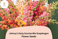 Antirrhinum majus Johnny’s Potomac Early Sunrise Mix Snapdragon Seeds – Vibrant Yellow, Orange, Pink Cut Flower Seeds