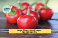 3pcs Large Cherry Hot Pepper Seeds – Heirloom Capsicum annuum for Container & Garden Planting, Spicy Round Peppers, Pickling & Cooking
